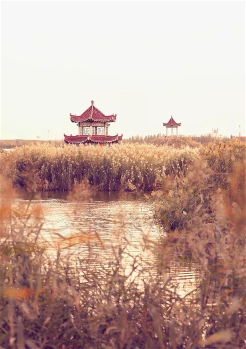 企业微信截图_15258342839769.png