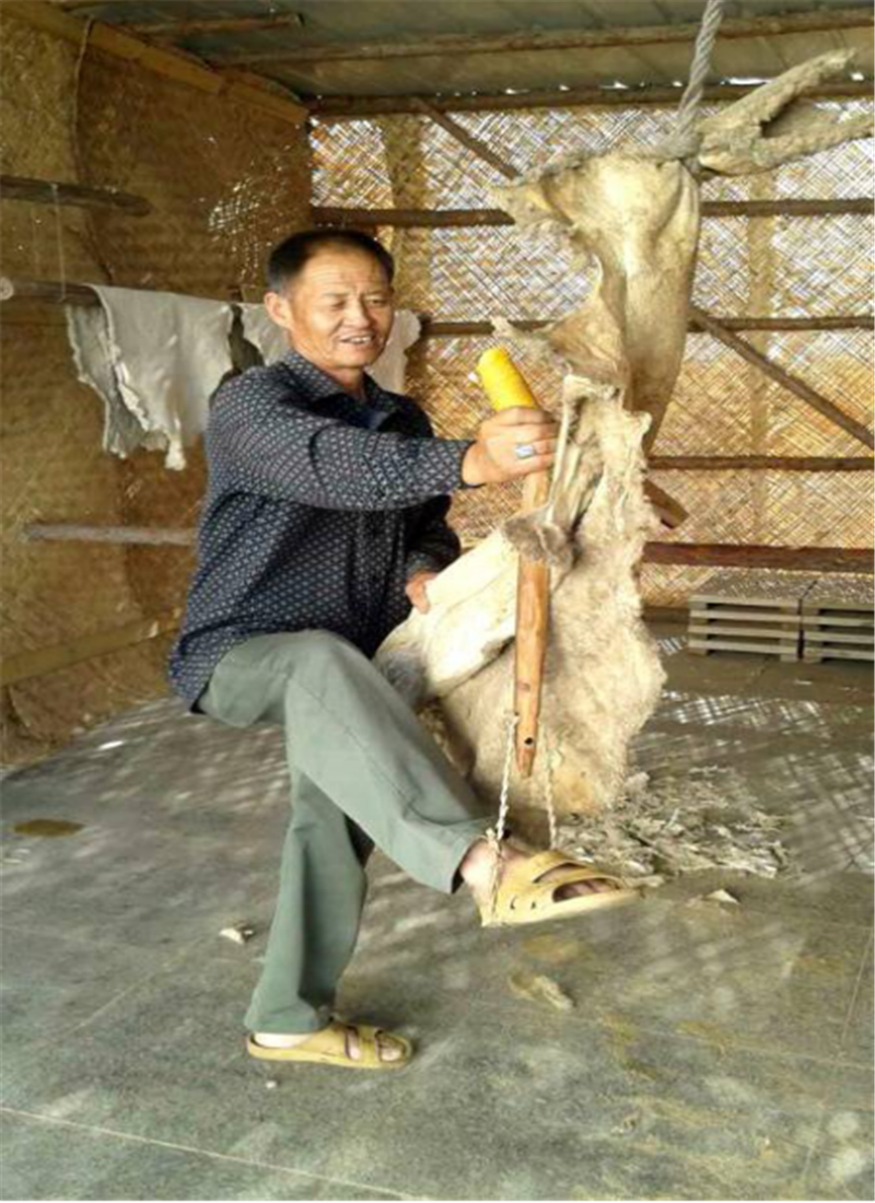 鄂尔多斯民间技艺之蒙古族传统熟皮子910.png