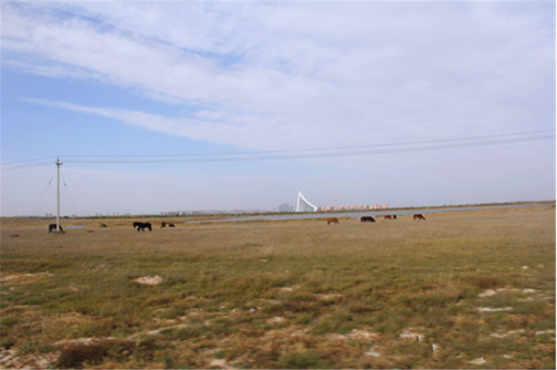 再现游牧文化传奇——建设中的蒙古源流文化产业园2134.png