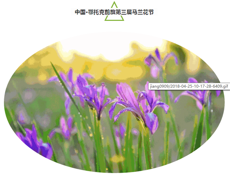 企业微信截图_20180522093401.png