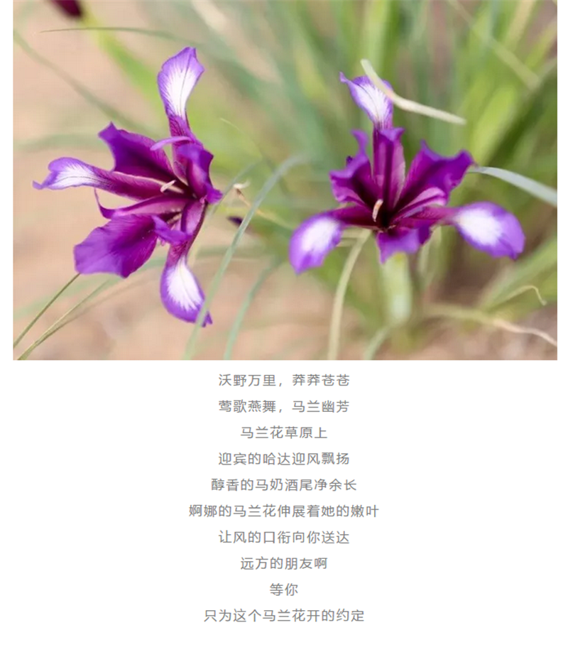企业微信截图_20180522092931.png