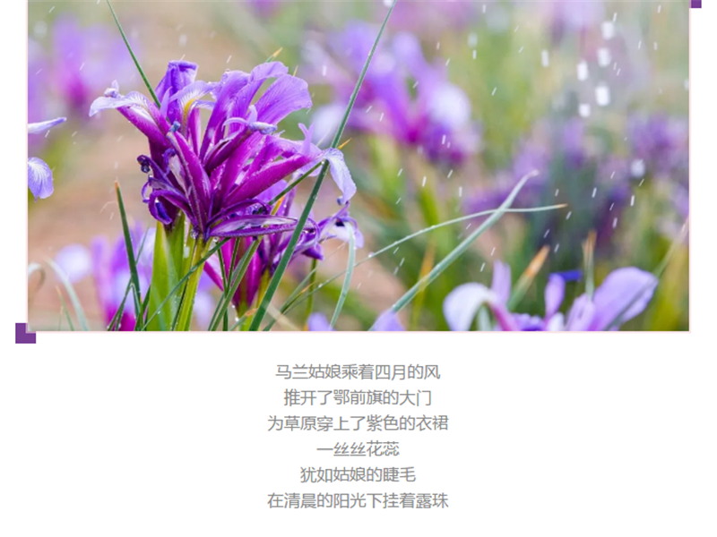 企业微信截图_20180522093031.png