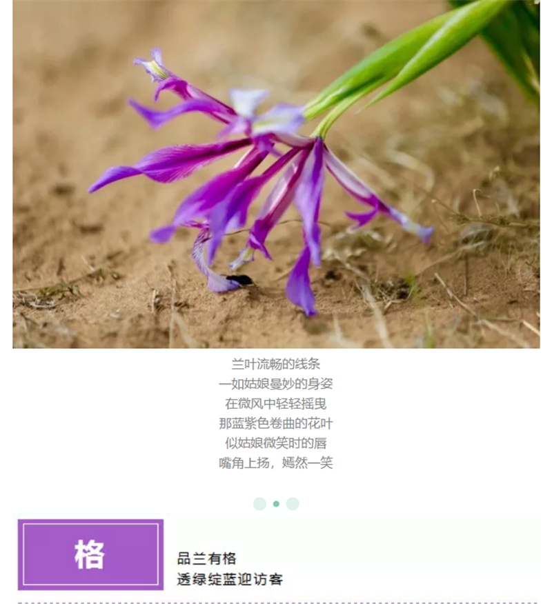 企业微信截图_20180522093059.png