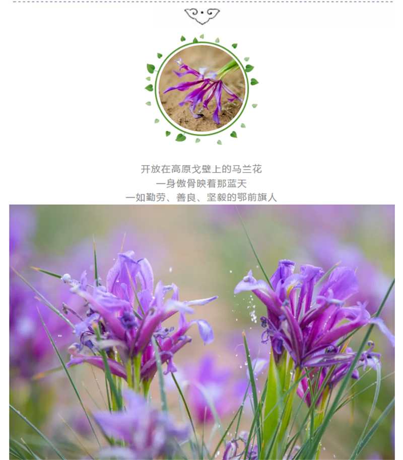 企业微信截图_20180522093113.png