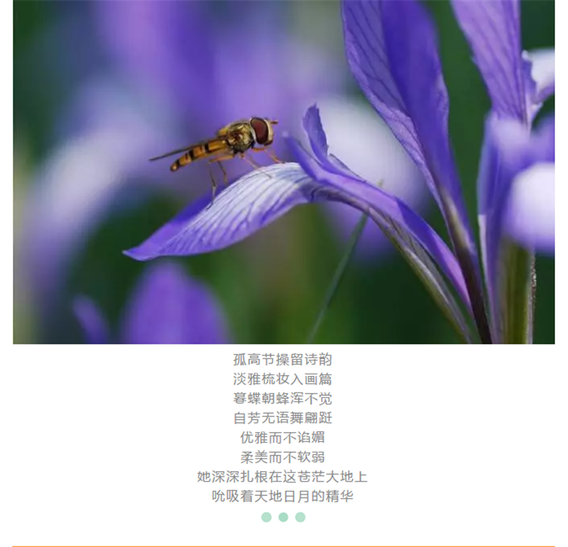 企业微信截图_20180522093124.png