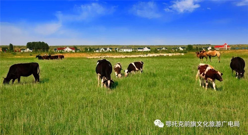 微信图片_20180522103638.jpg