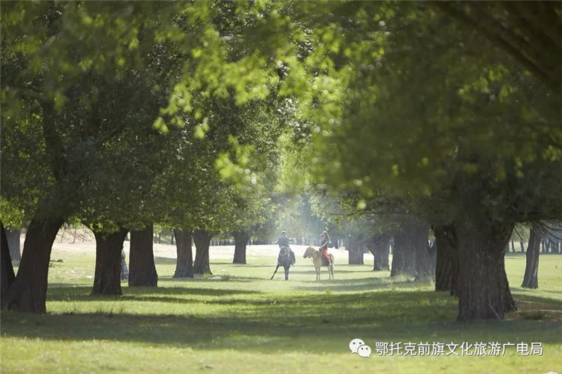 微信图片_20180522103644.jpg