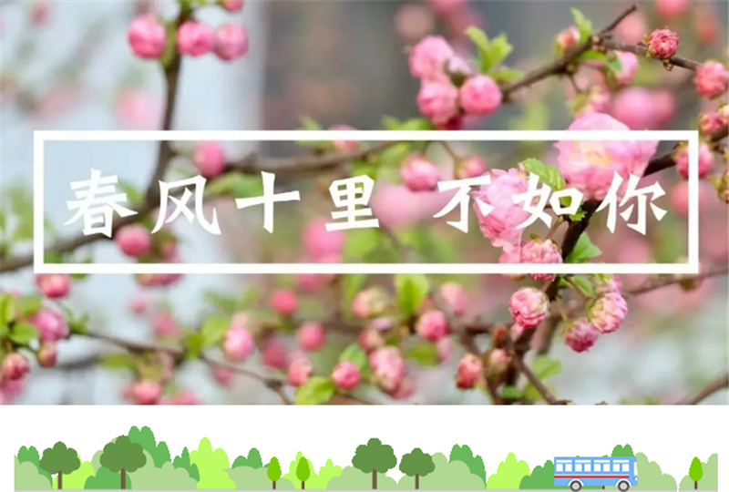 企业微信截图_20180523164117.png