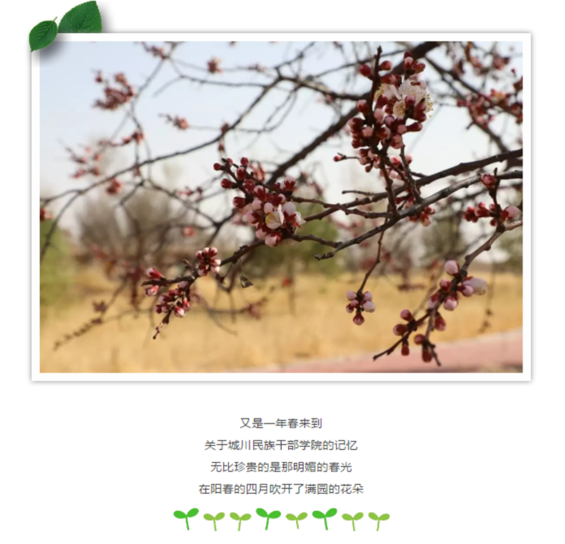 企业微信截图_20180523164330.png