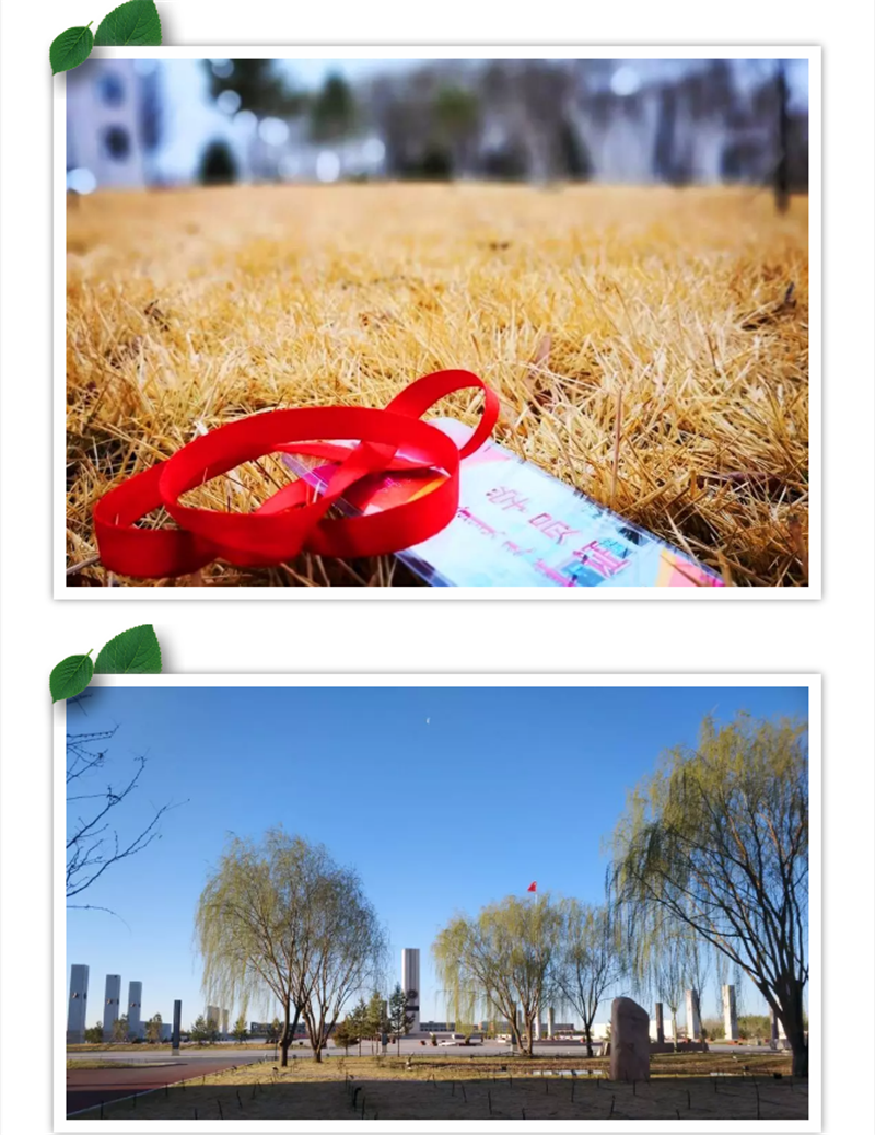 企业微信截图_20180523164406.png
