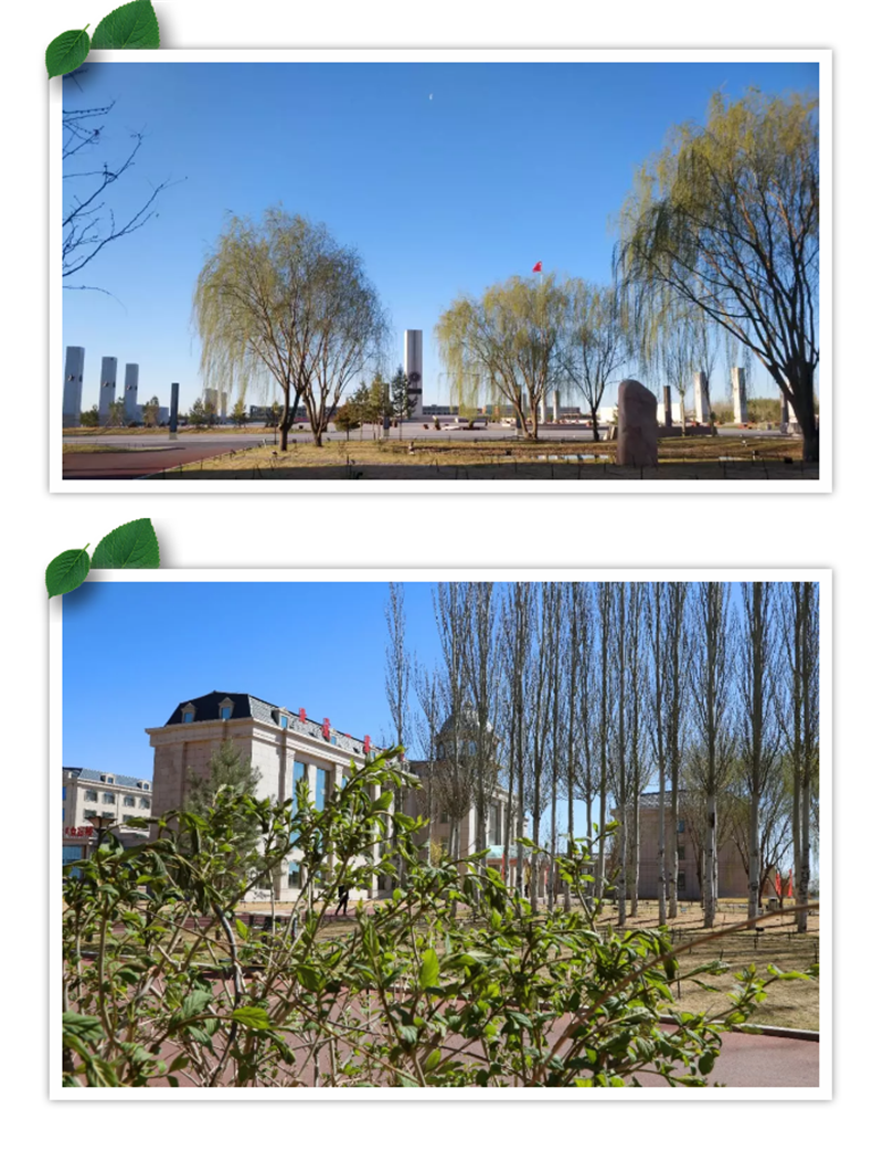 企业微信截图_20180523164456.png
