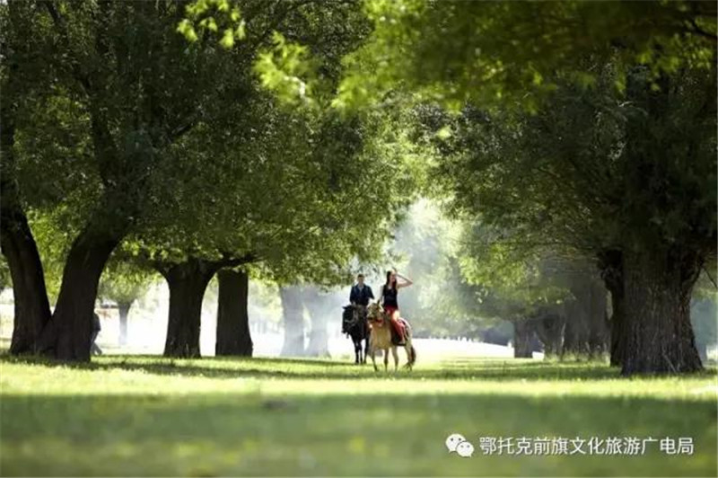 微信图片_20180525090733.jpg