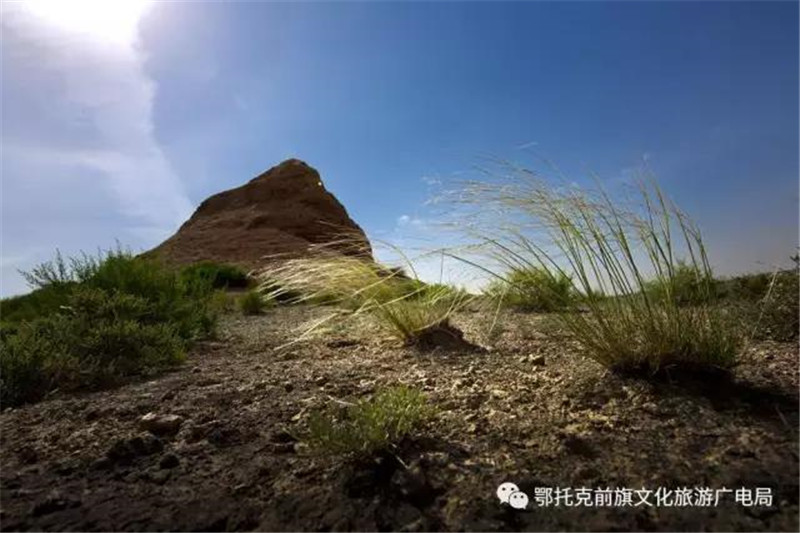 微信图片_20180525094203.jpg