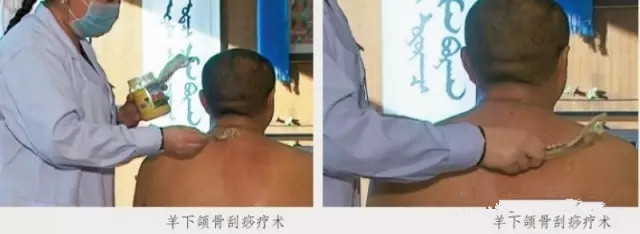 640.webp (6)_副本.jpg