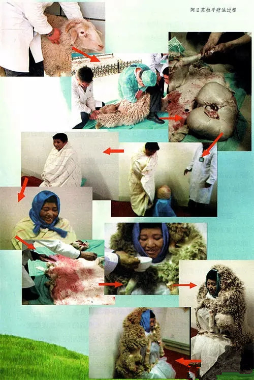 640.webp (8)_副本.jpg