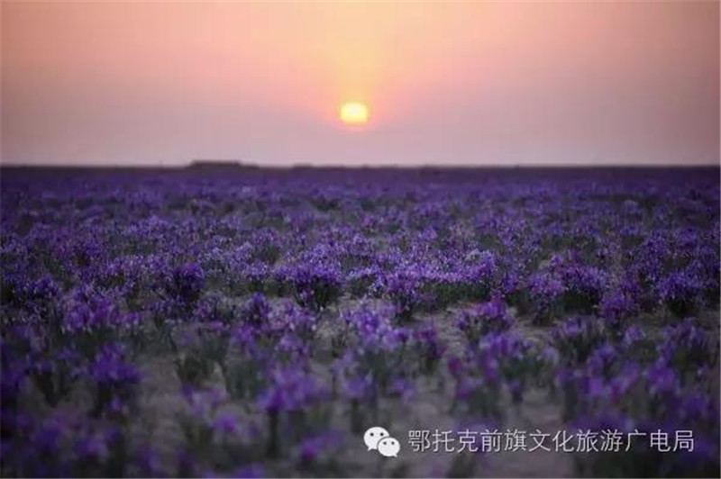 微信图片_20180528112031.jpg
