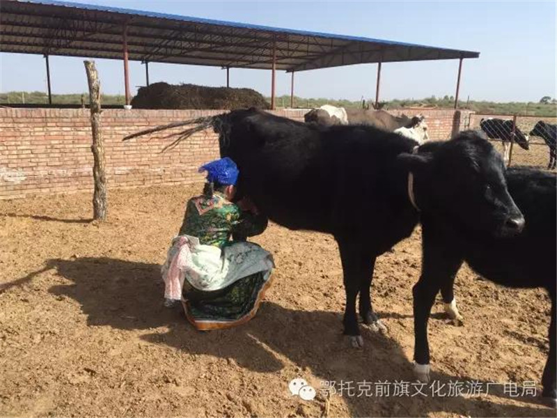 微信图片_20180529085920.jpg