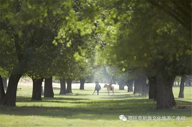 微信图片_20180530101655.jpg