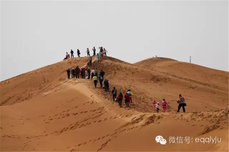微信图片_20180604170750.jpg
