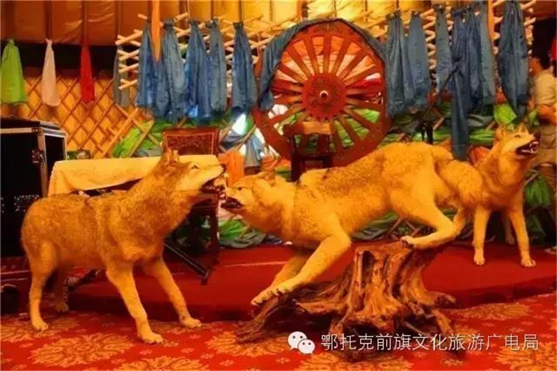微信图片_20180604171227.jpg