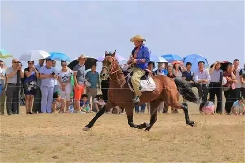 微信图片_20180604172143.jpg