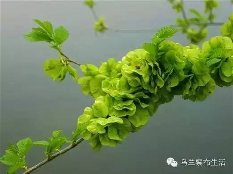 微信图片_20180607174310.jpg