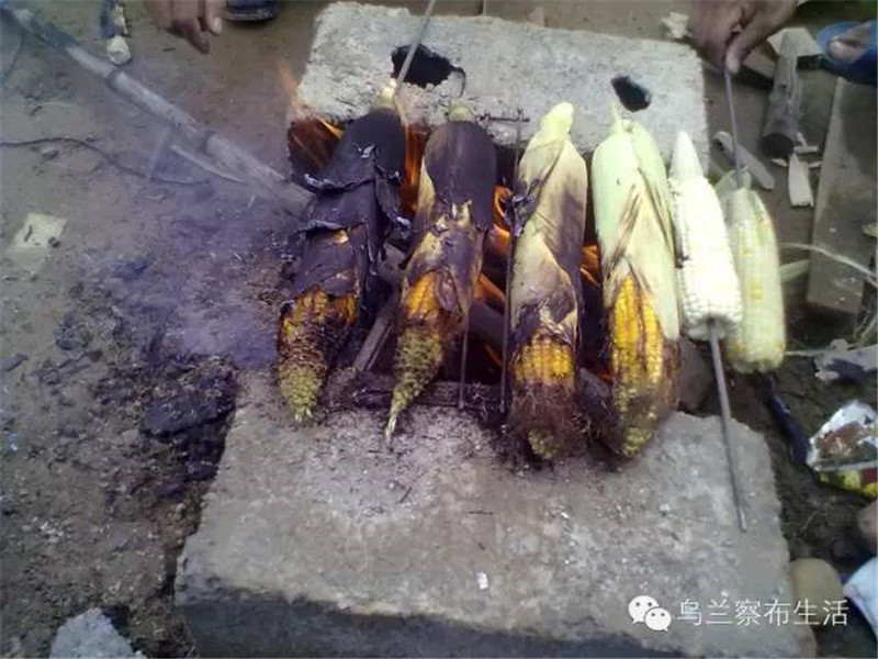 微信图片_20180607174320.jpg