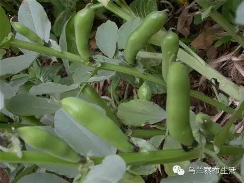 微信图片_20180607174331.jpg
