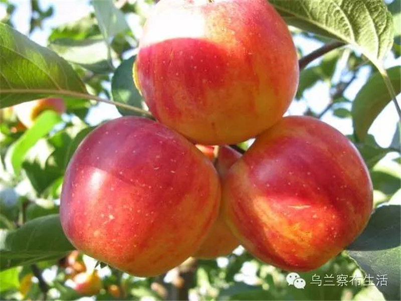 微信图片_20180607174412.jpg