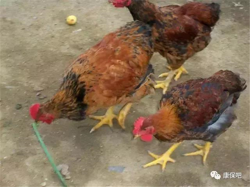 微信图片_20180609161625.jpg