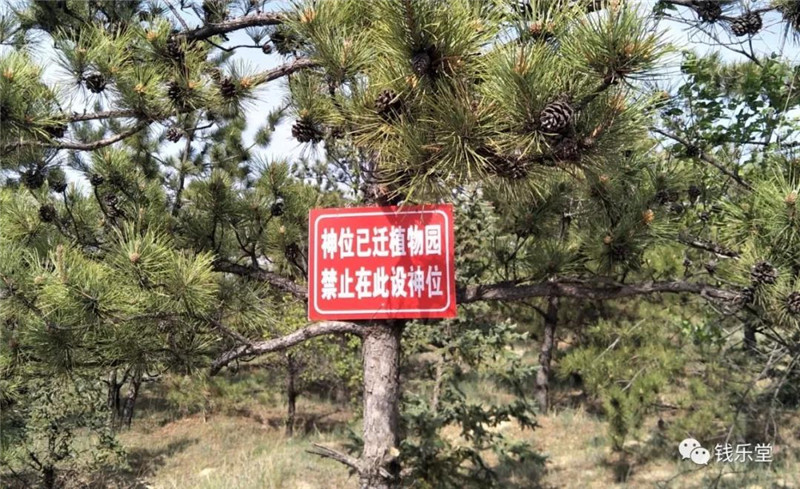 微信图片_20180609163922.jpg