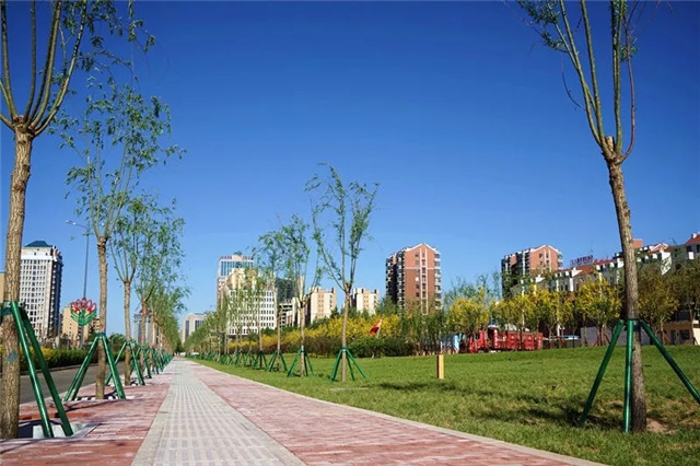 640.webp (14).jpg