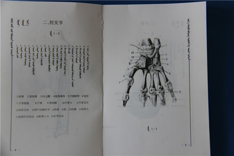 照片说明：鄂尔多斯蒙医正骨术教材 摄影者：敖特根毕力格 时间：2013年3月26日1..jpg