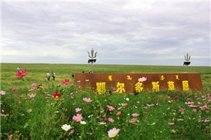 鄂尔多斯草原丨策马扬鞭 遇见自己