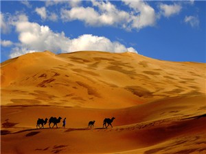 鄂尔多斯库布齐神光响沙旅游区