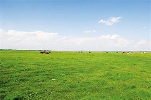 巴音淖尔大草原：乌审旗观光旅游新“名片”