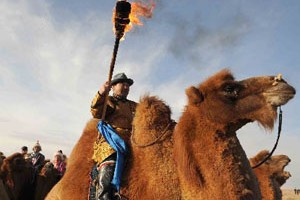 长生天赐予我们忠诚的伙伴—骆驼，关于蒙古族祭驼