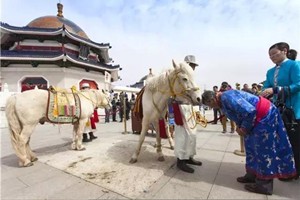 来伊金霍洛，瞻仰八白宫的荣光