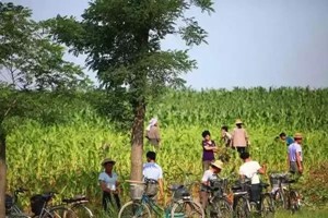 杭锦旗丨呼镇乡间小记