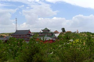 中国第一松——油松王