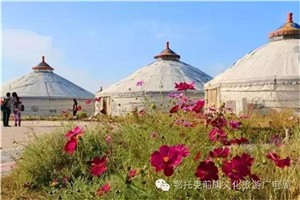 大美鄂前旗系列二 | 带你去上海庙欢乐大草原  ​
