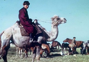 老照片：美国记者内蒙古纪行，鄂尔多斯1944年