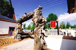 伊金霍洛旗以“全域旅游”理念实现创新发展