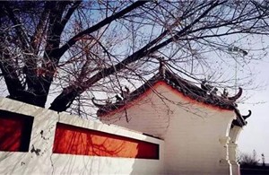 一场说走就走的伊金霍洛乡村游