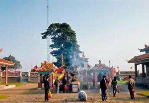 油松王祭祀